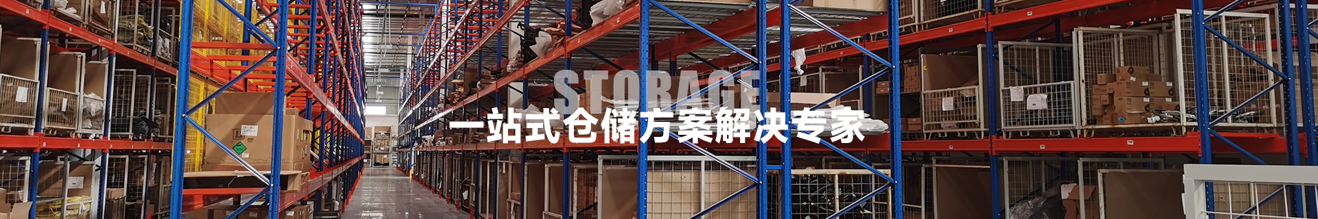 新闻资讯